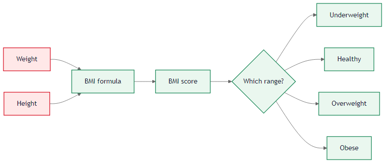 BMI problem flow