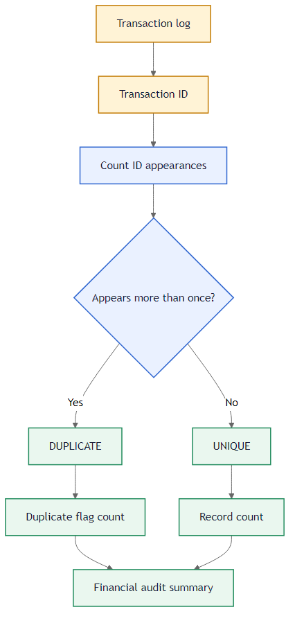 Duplicate transaction audit problem flow
